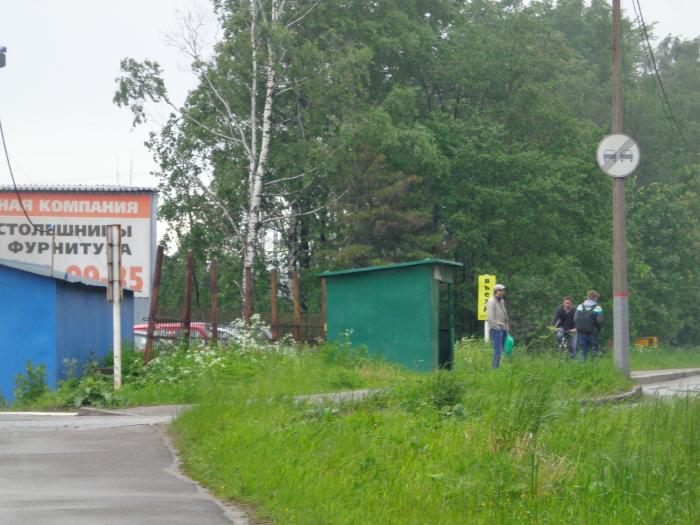 Поляна череповец. Ясная Поляна Череповец. Питомник Городище Череповец. Череповец Ясная Поляна питомник. Ясная Поляна Череповец Учкомбинат.