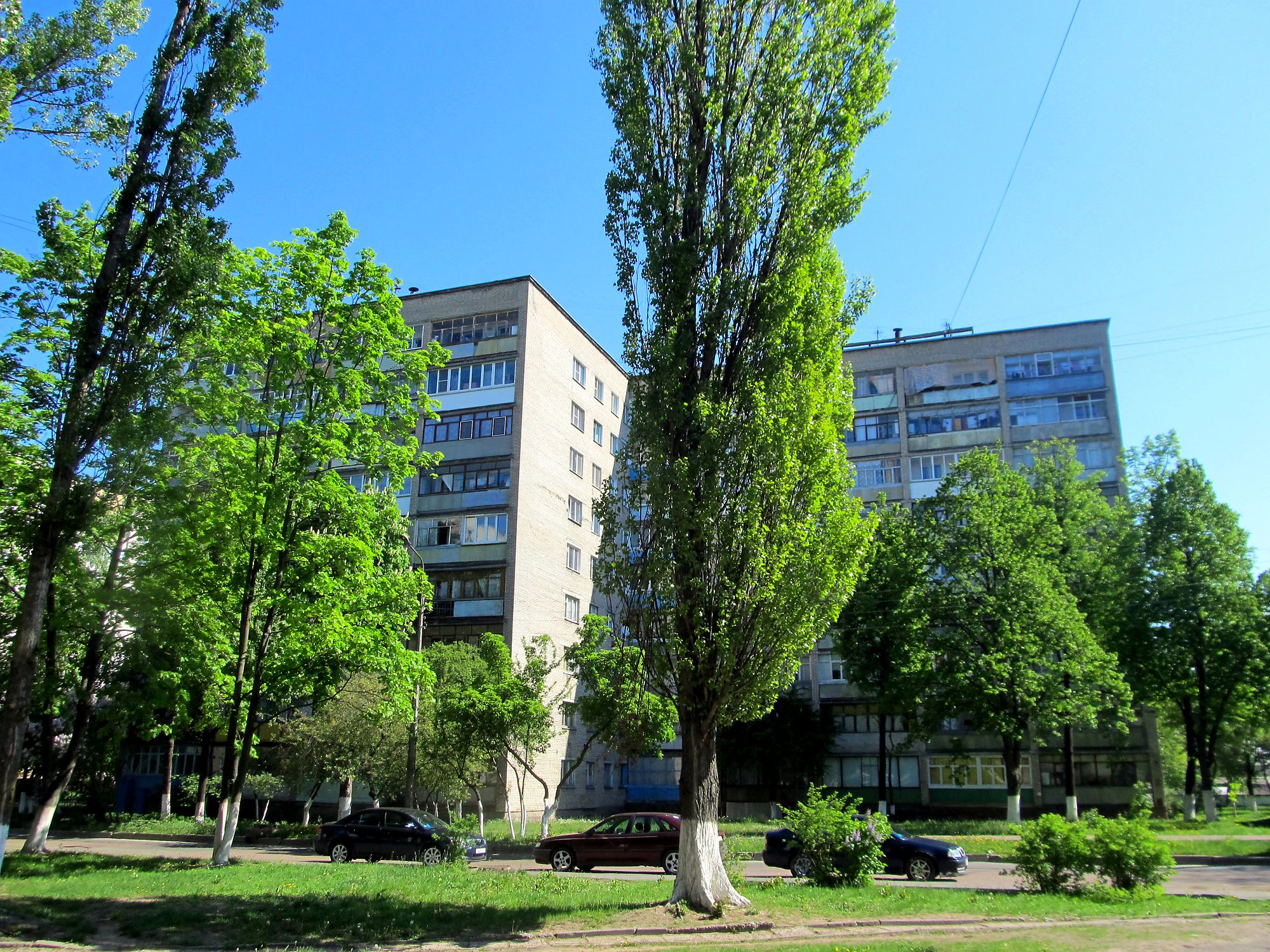 Центральная городская поликлиника гомель. Поликлиники советского района г гомеля. Зубная клермон ферран гомель. Дом паскалей клермон ферран. Открытие поликлиники в гомеле на мазурова.