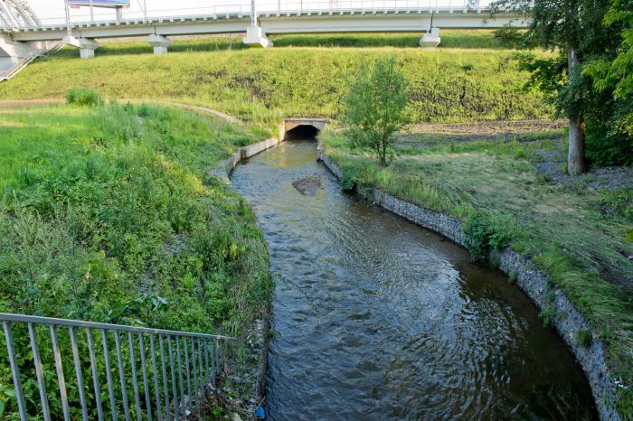 Участок реки. Река Лихоборка водопад. Река жабенка. Р жабенка Москва. Жабенский луг.