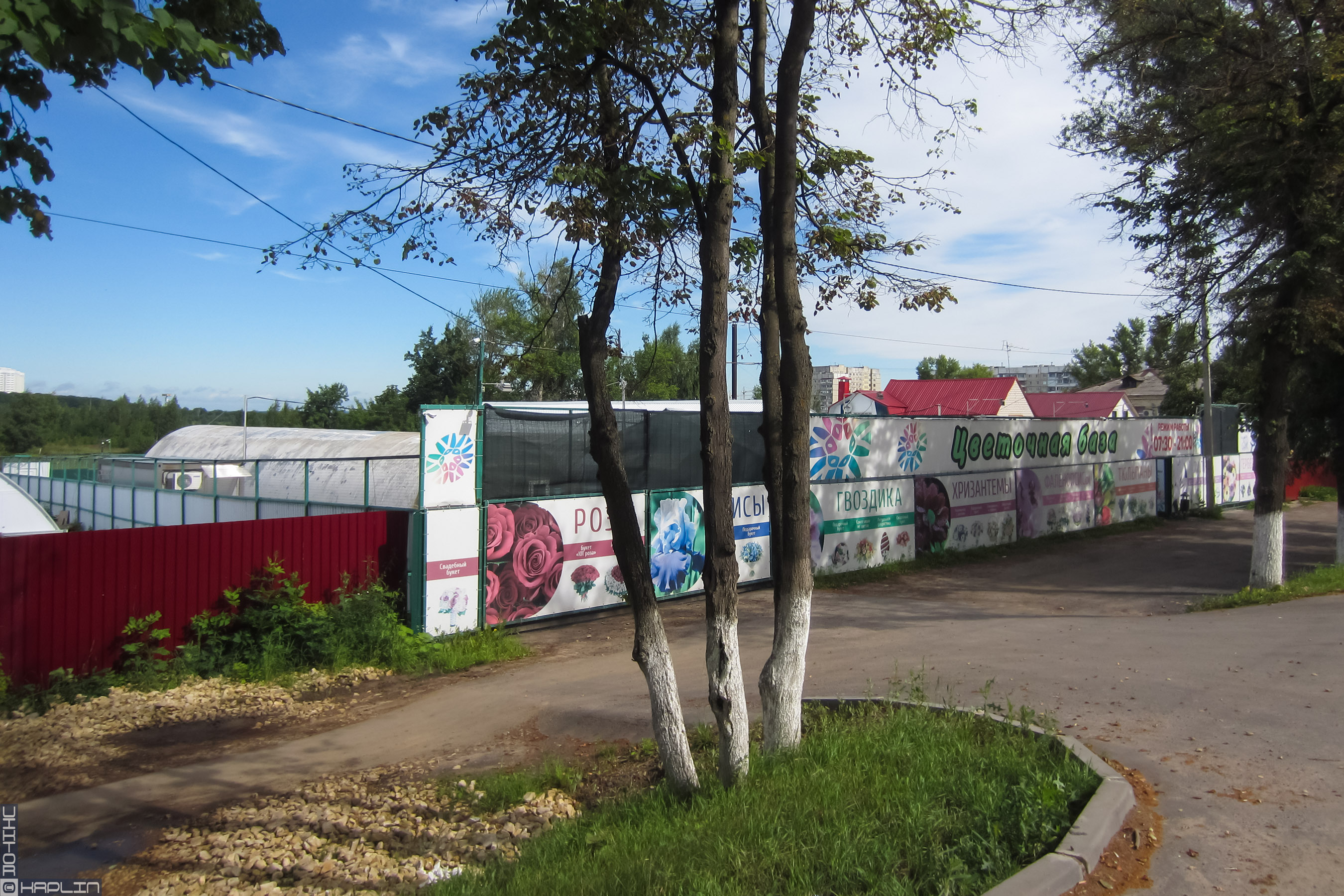 База орел. Цветочная база, орёл, Московское шоссе 142. Орел Московское шоссе 97. Цветочная база, орёл, Московское шоссе. Орёл Московское шоссе 97,Цветочная база.