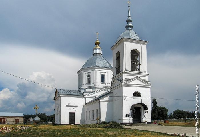 Рождественский храм Воронеж