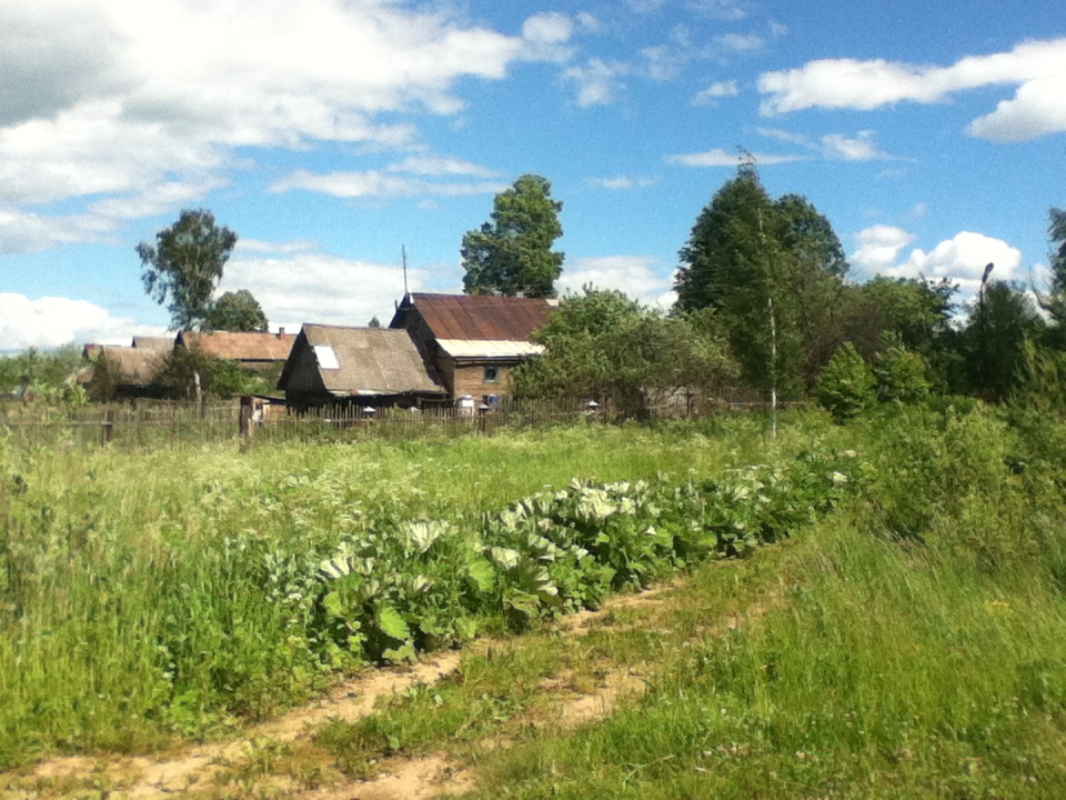 Сафроново великие луки карта