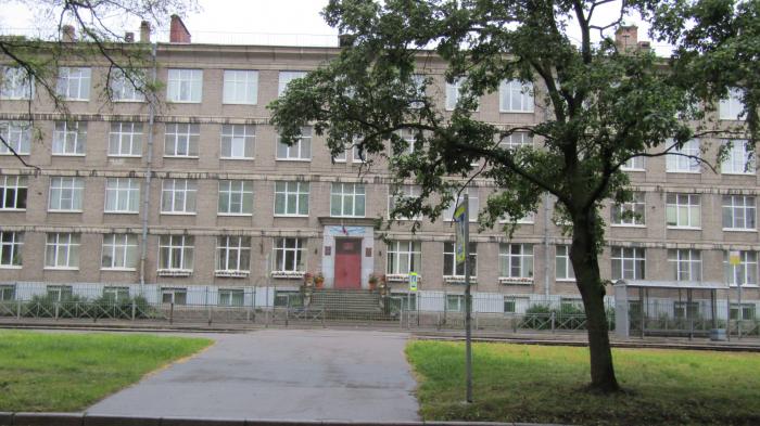 лицей 389 кировского района.