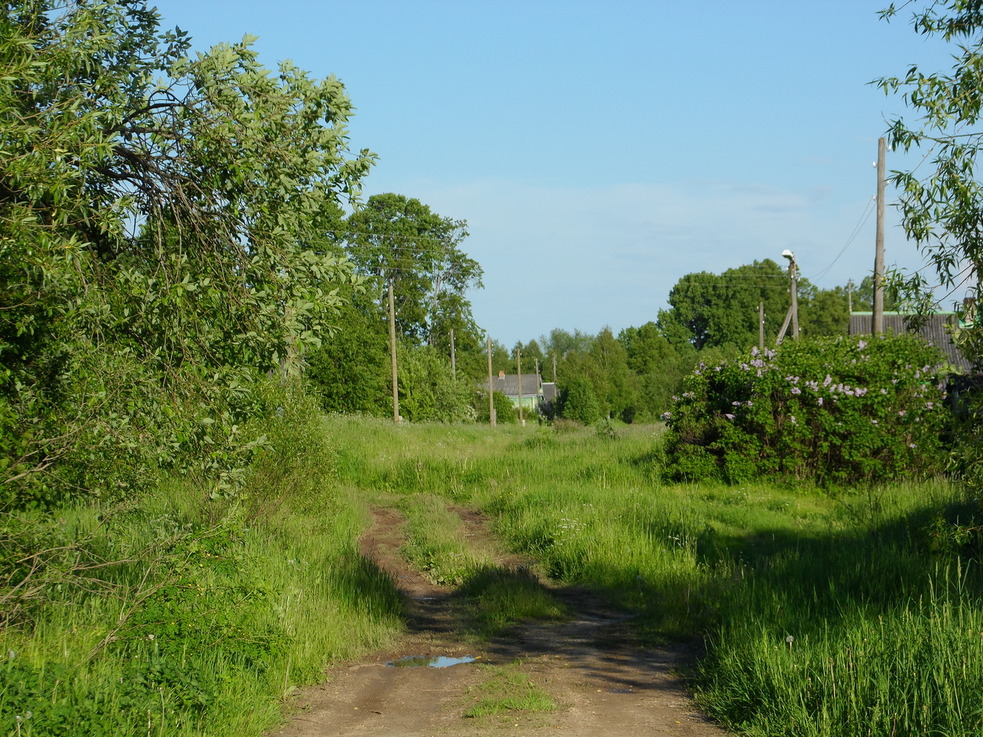 заповедник «городище булгар». село рождествено мышкинского района ярославской области. поселение приволжское. поселение приволжское. поселение приволжское.