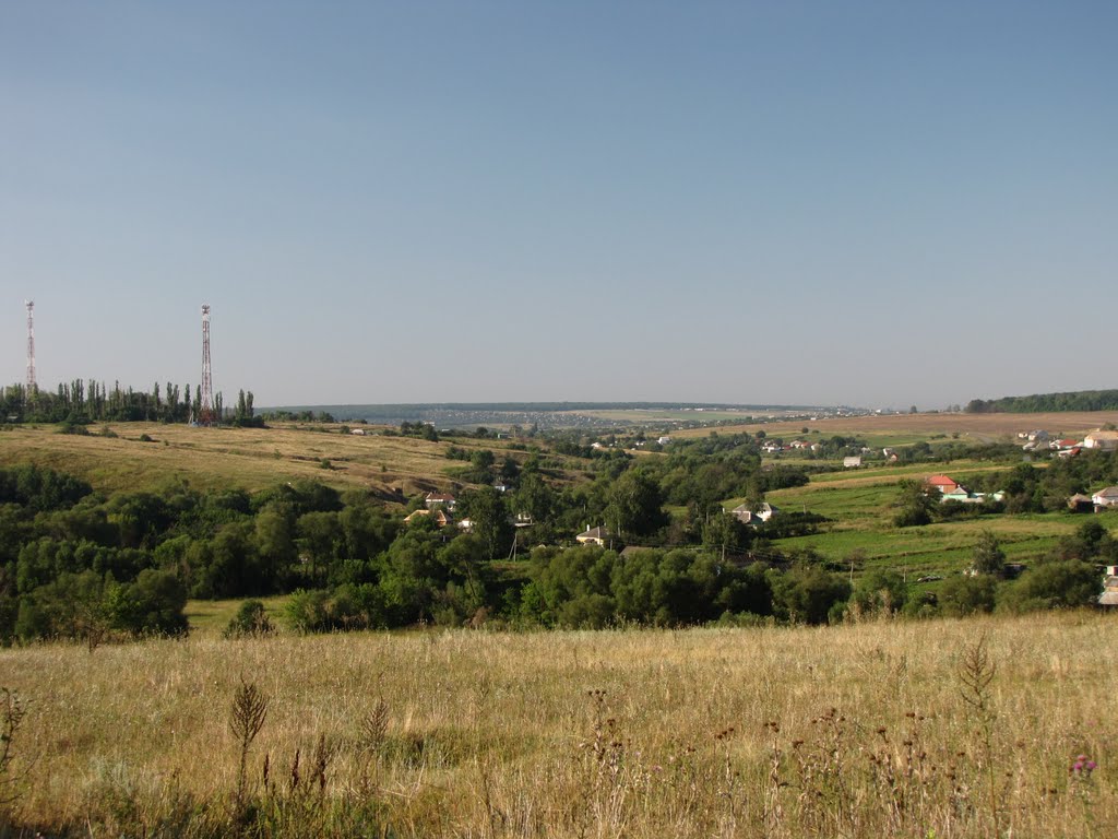 Недель воронежская область. Село русская Гвоздевка. Гвоздевка Рамонский район. Гвоздевка Воронежская. Село русская Гвоздевка Воронежская область.