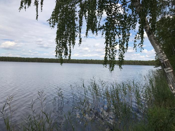 Село дерябино свердловская область. Озеро Дерябино Лысковский район. Дерябино Нижегородская область Борский район. Озеро Струнинское Новгородская область. Озеро в Пучежском районе.