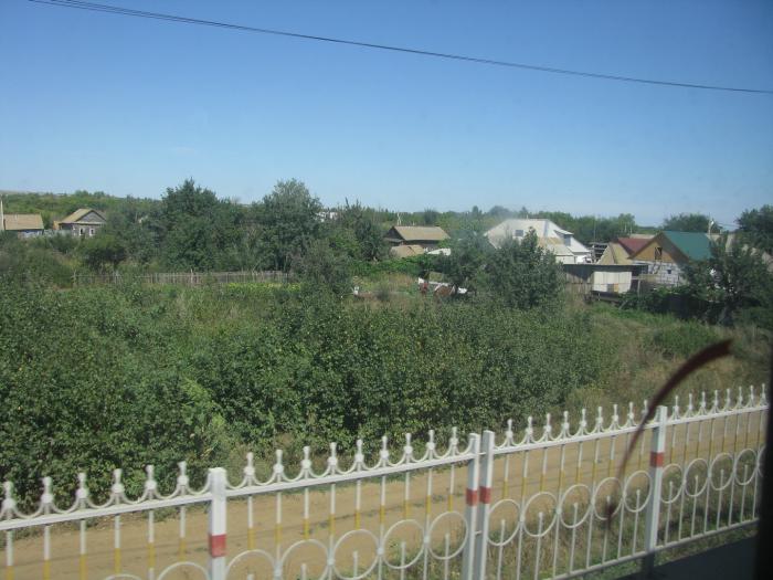 Погода село дворянское. Волгоградская область Камышинский район село Дворянское. Село Дворянское Камышинского района. С Дворянское Камышинского района Волгоградской. Мичуринское сельское поселение Камышинского района.