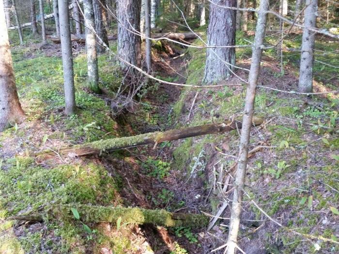 Окопы и блиндажи ВОВ