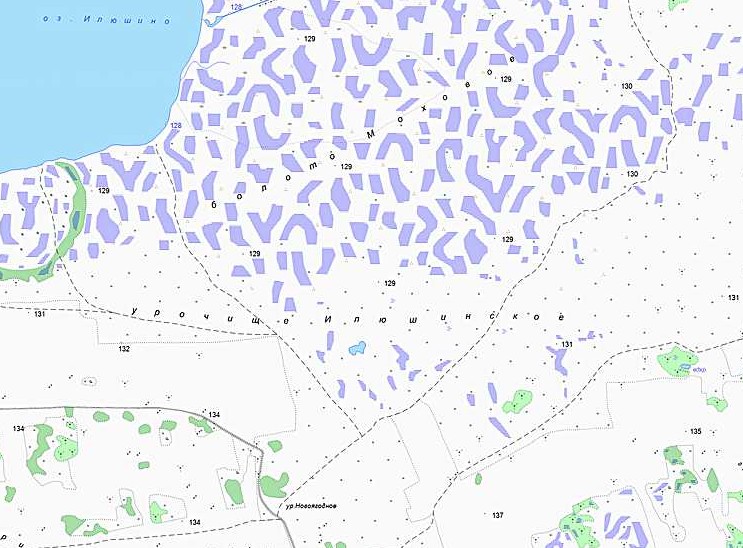 Викимапия новгородская область урочища карта