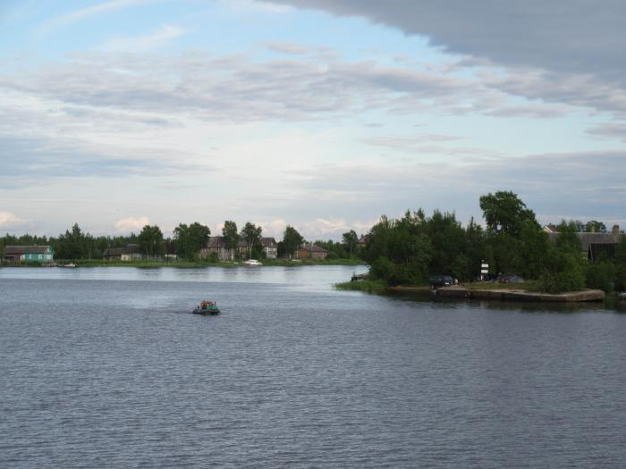 Рыбалка от свирицы до дубно