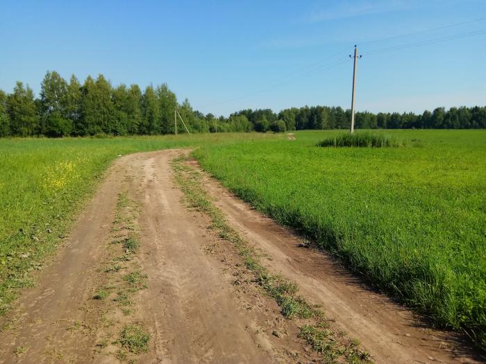 П зеленый. Векино Шуйский район. Колобовское городское поселение. Деревня Маклаково Колобовское поселение. Деревня Дубки Шуйского района.