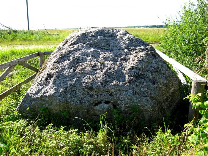 Дна большой камень. Опаринский валун. Хмелевский валун. Камень валун в Мордовии. Валун Званец.