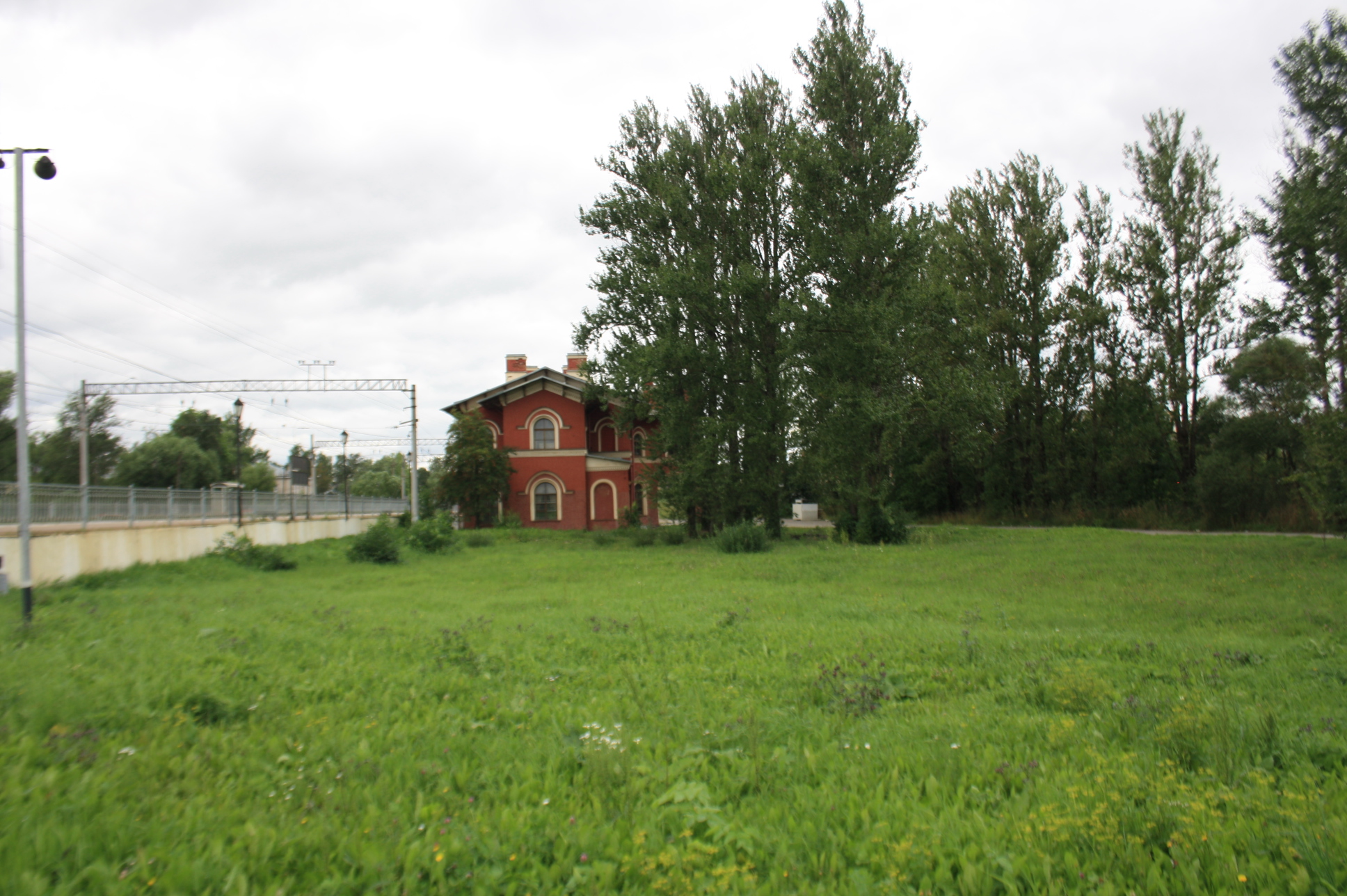 Луга спб сегодня. Луга под Питером. Луг в СПБ. Платформа 131 км луг Санкт-Петербург. Meadow Санкт Петербург.