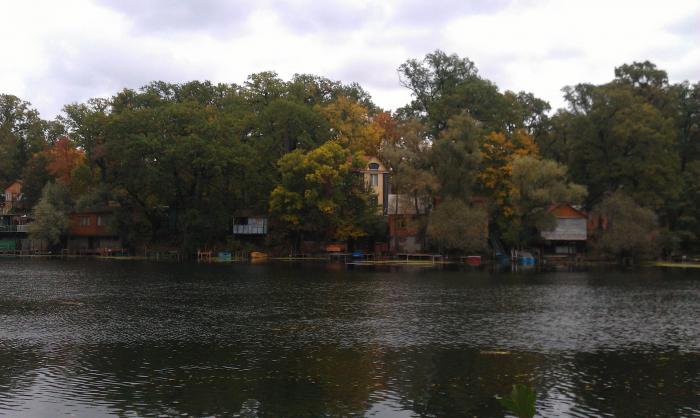 Радчино Рамонский Район Купить Дачу