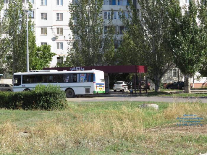 Автовокзал волгодонск. Город Волгодонск автовокзал. Волгодонск автобусные остановки. Автобусные остановки в Ростовской области. Автобус 98 город Волгодонск.