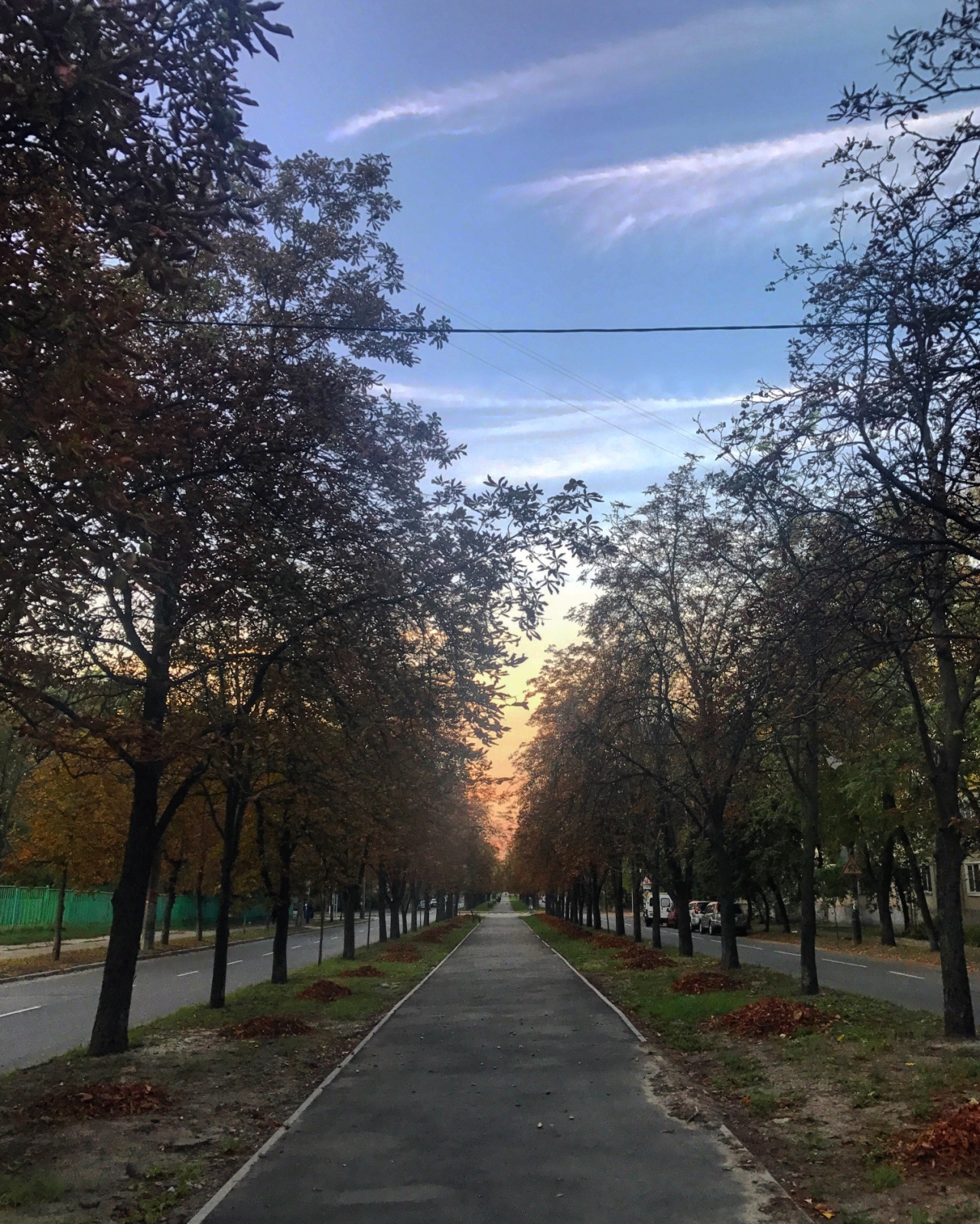 Аллея бульвар. Цветной бульвар аллея. Бульвар аллея сквер. Бульвар впльвидреро. Бульвар бульвар Гаврицкий.