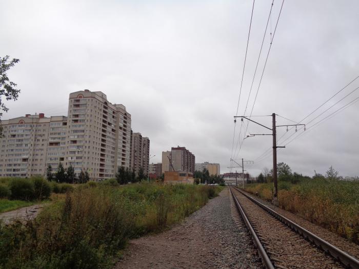 Старая деревня питер. Район Старая деревня Санкт-Петербург. Старая деревня исторический район. Питер район Старая деревня. Старая и новая деревня СПБ.