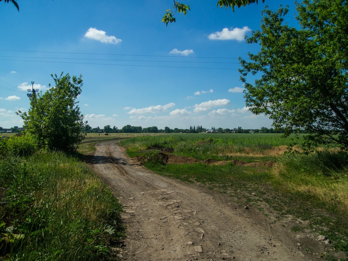 Село веселое донецкая область население. Село веселое Криворожский район. Александровский район Кировоградская обл. Кировоградская область природа. Надеждовка Криворожский район.