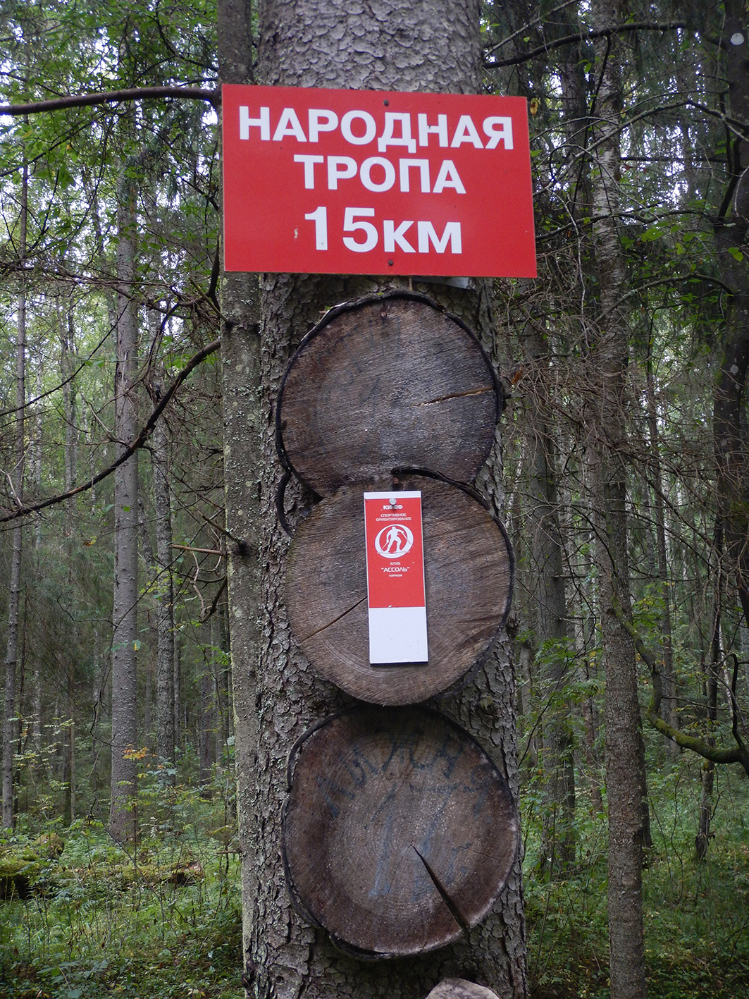 Народная тропа. Народные тропы Подмосковье. Лесная народная тропа. Фольклорные тропы. Тропа для народа.