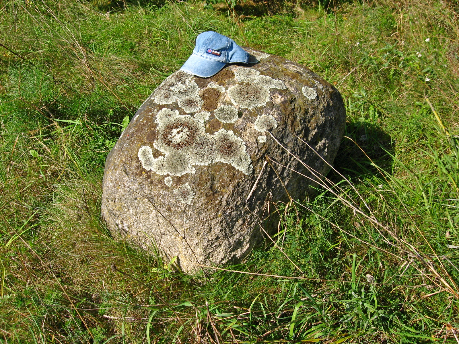 русский язык 8 класс бархударов упр 213. 243. черемшан валуны. есенин мелколесье степь и дали пороша. переславль-залесский плещеево озеро синий камень.