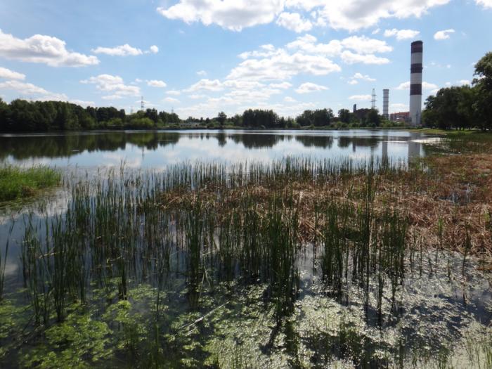 Нижегородская электрогорск