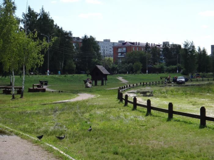 Погода в электрогорске. Парк в городе Электрогорск. В гостях у сказки Электрогорск. Электрогорск Стелла. Стаханка Электрогорск.