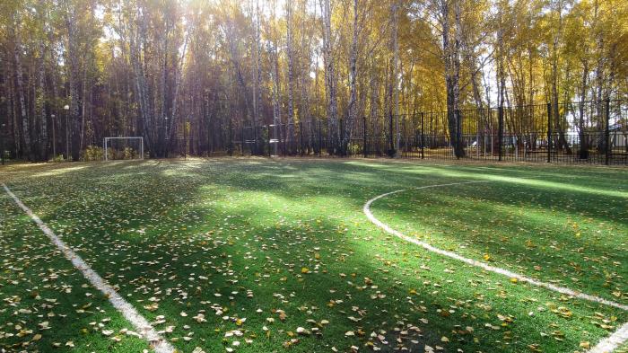 Комсомольский парк Тула футбольное поле