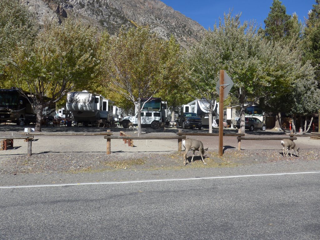 Silver Lake Resort RV Park