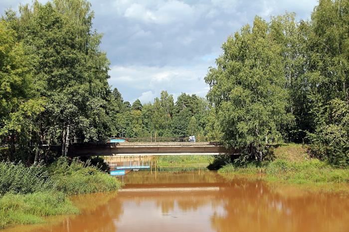 Дубна орехово зуево