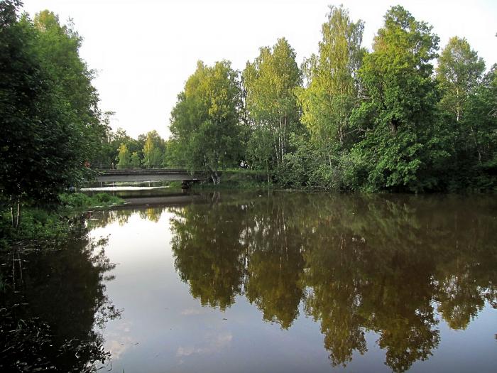 Дубна орехово зуево