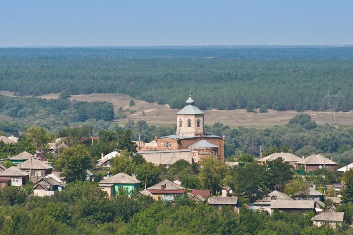 Купить Дом Селявное Лискинский Район Воронежская Область