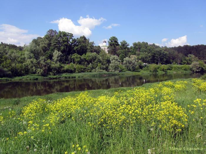 Пляж в звенигороде