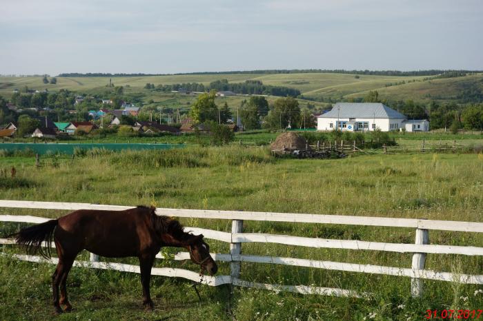 Погода в новые карамалы на две недели