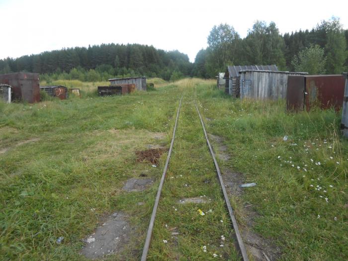 Погода в киземе. Станция Ольховская УЖД. Кизема УЖД. Станция Кизема. Станция Рязань Пристань УЖД.