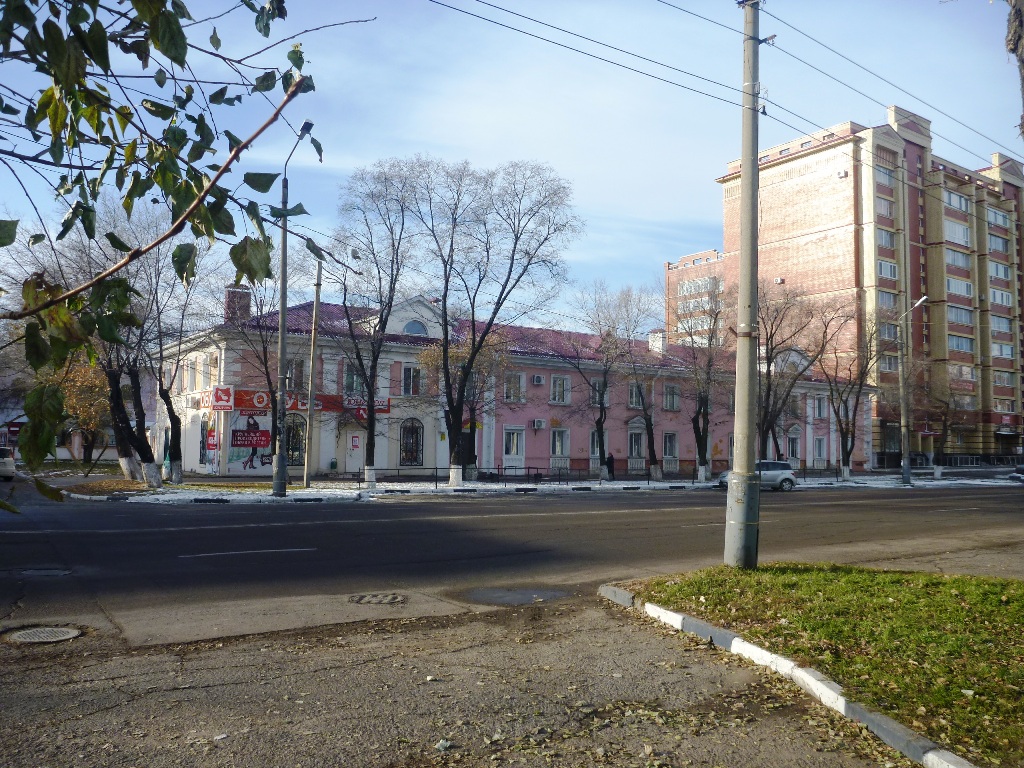 Благовещенск ул. Благовещенск ул Ленина. Амурская улица Благовещенск. Горького 97 Благовещенск Амурская область.