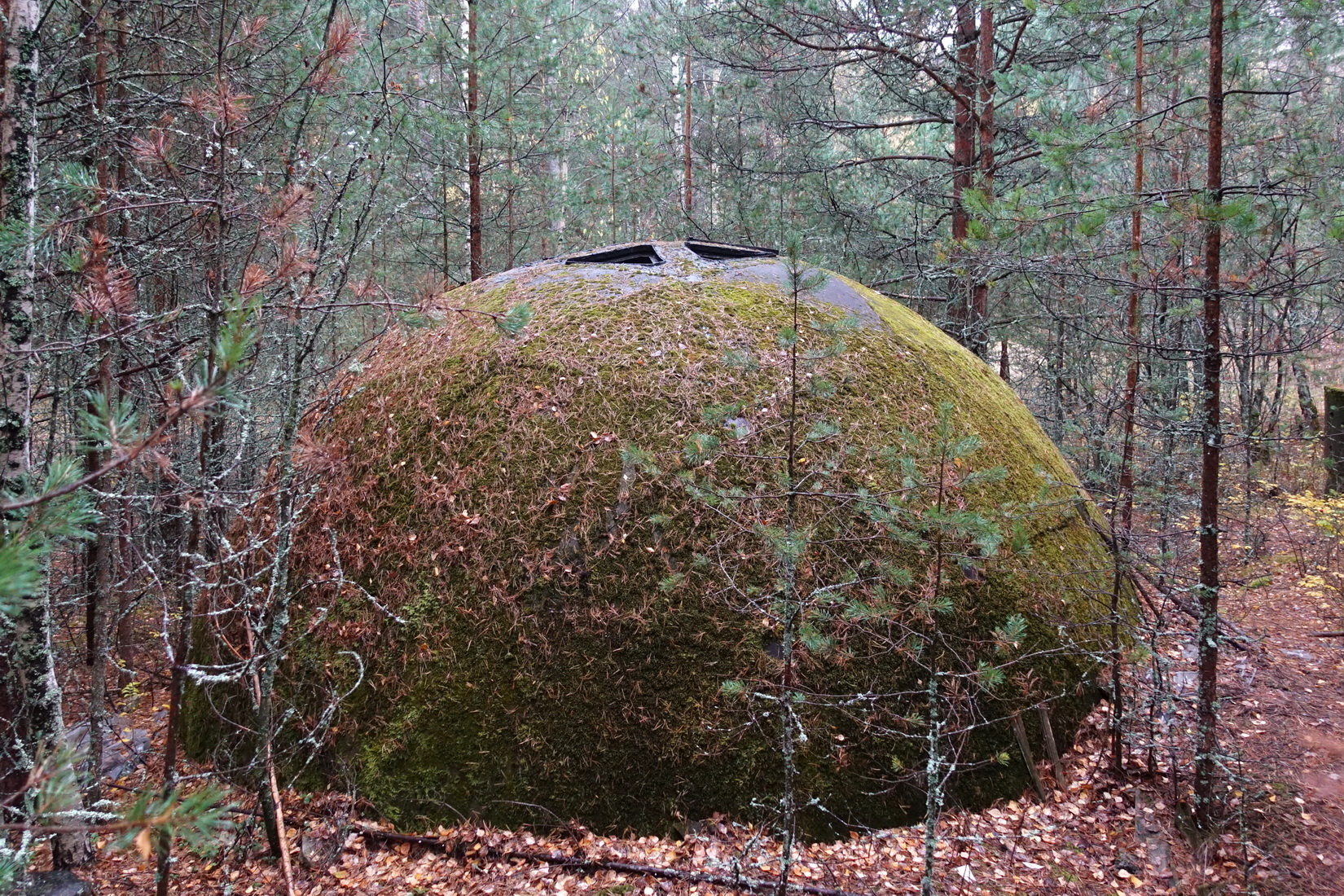 Полусфера