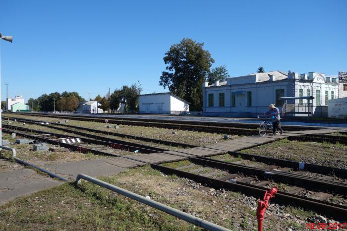 Коренево Фото Московская Область