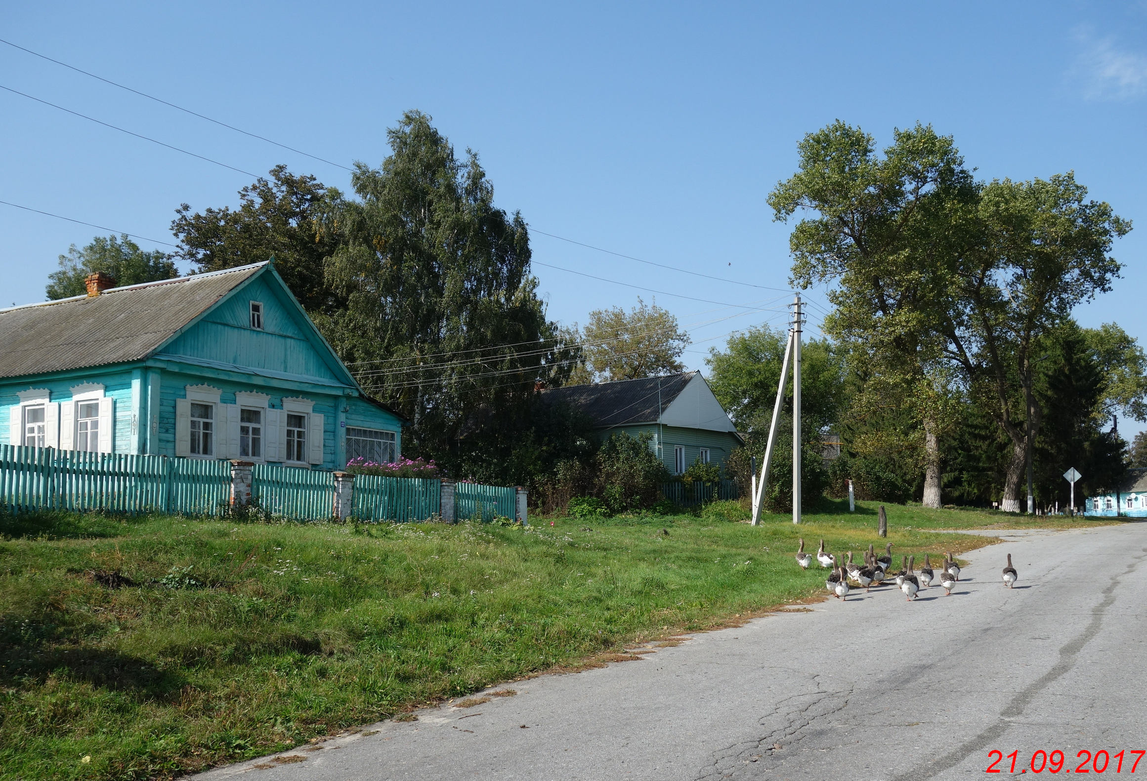 Села зерново. Брянская область село Алешковичи. Алешковичи Суземский район. Село Алешковичи Суземского района Брянской области. Суземский район Брянской области.