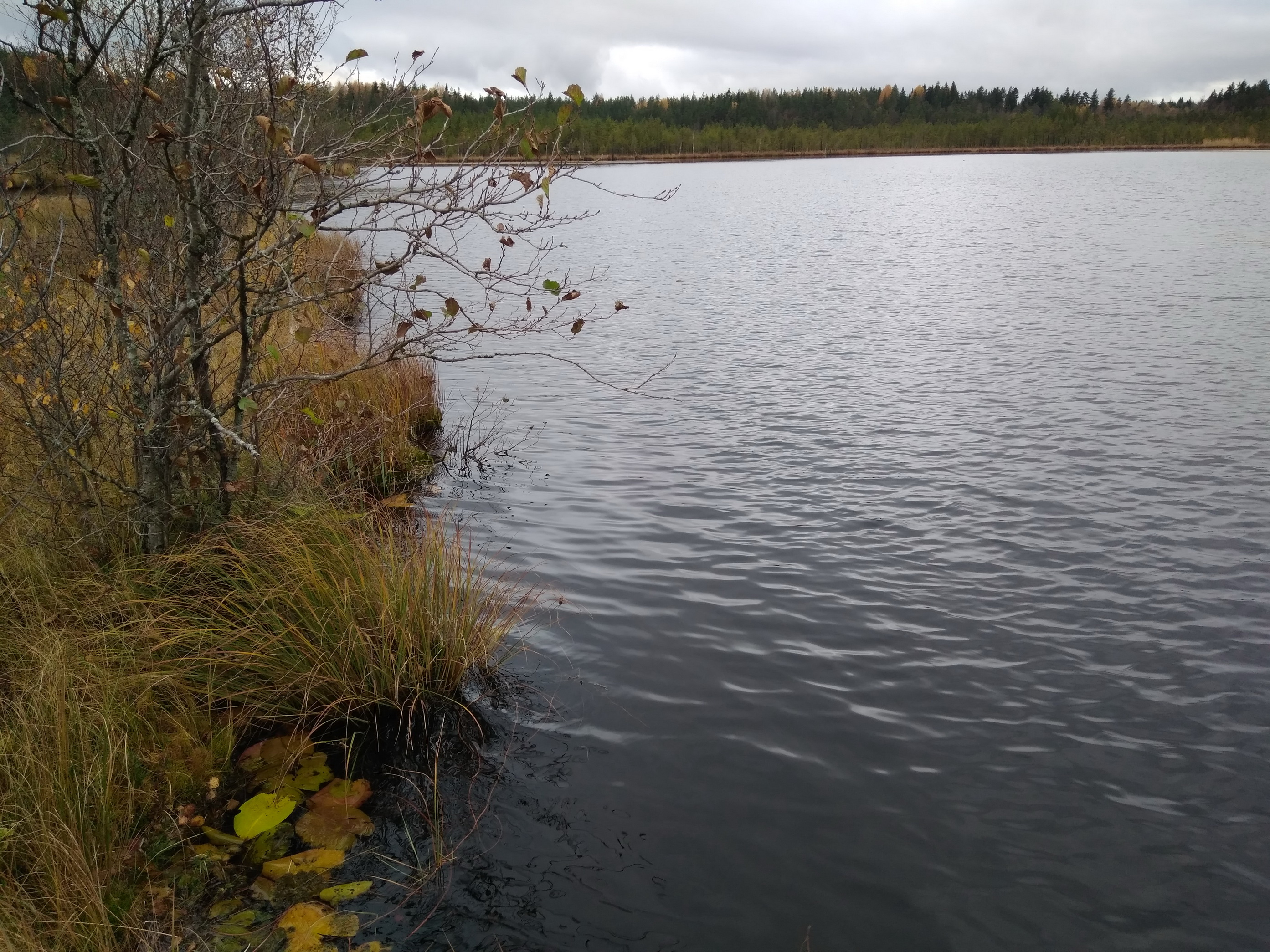каменский карьер краснотурьинск. озеро голубое выборгский. озеро голубое выборгский. озеро голубое выборгский. озеро илоранта.