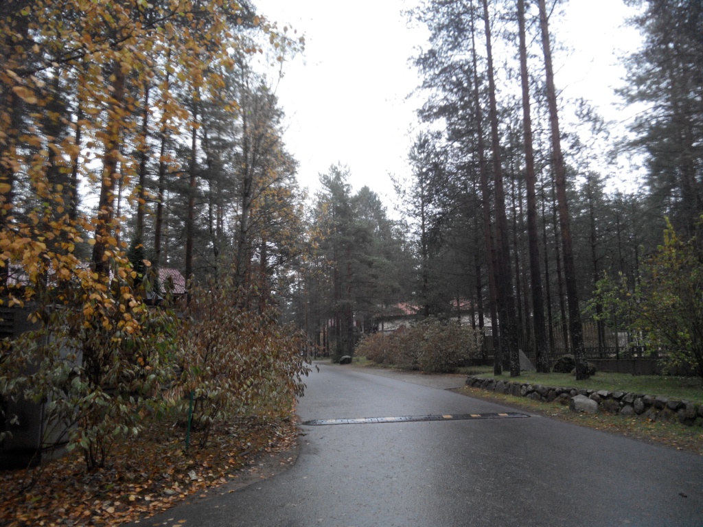 Западная лица спб. Западная лица коттеджный поселок. Западная лица спб. Западная лица дома купить. Дом кержакова в западной лице.
