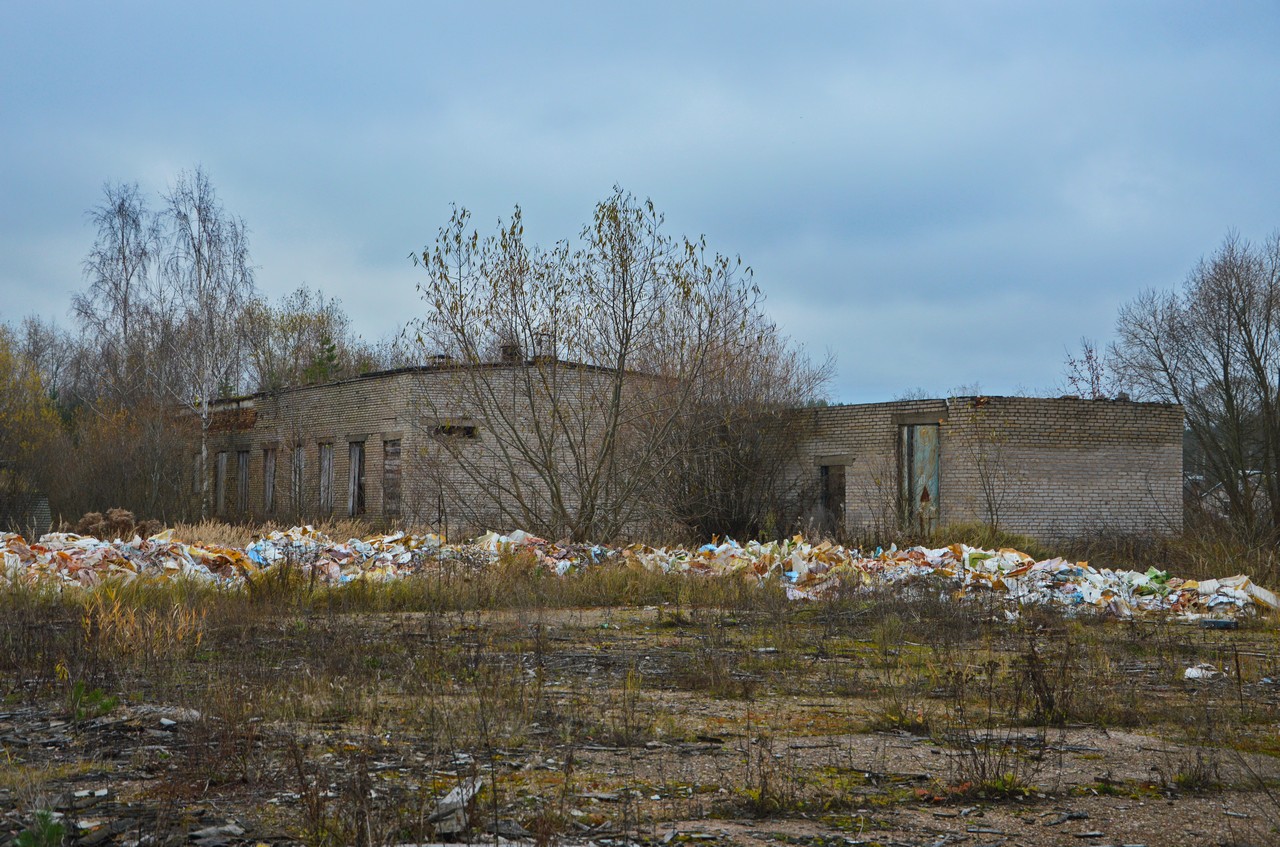 Погода раевка саратовская область