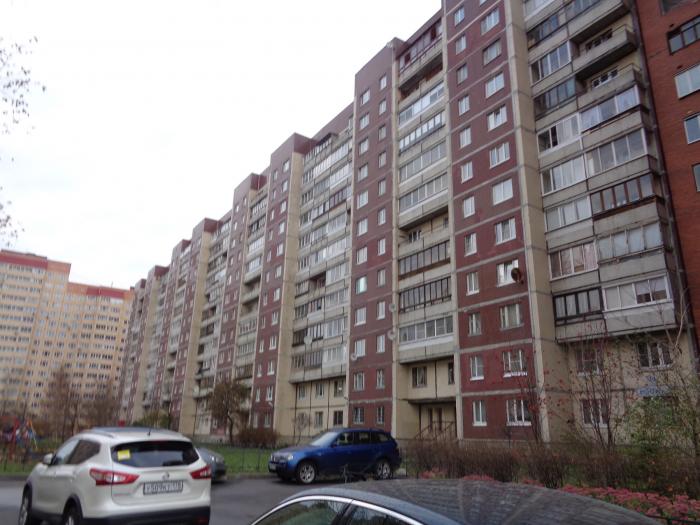 Королева Дом 8 Фото