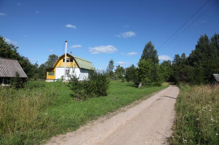 Погода ленинградская область дер пустошка. Деревня Забелье Пустошкинский район. Забелье Псковская область Пустошкинский район. Деревня Забелье Псковская область Пустошкинский район. Деревня в Себежском районе Забелье.