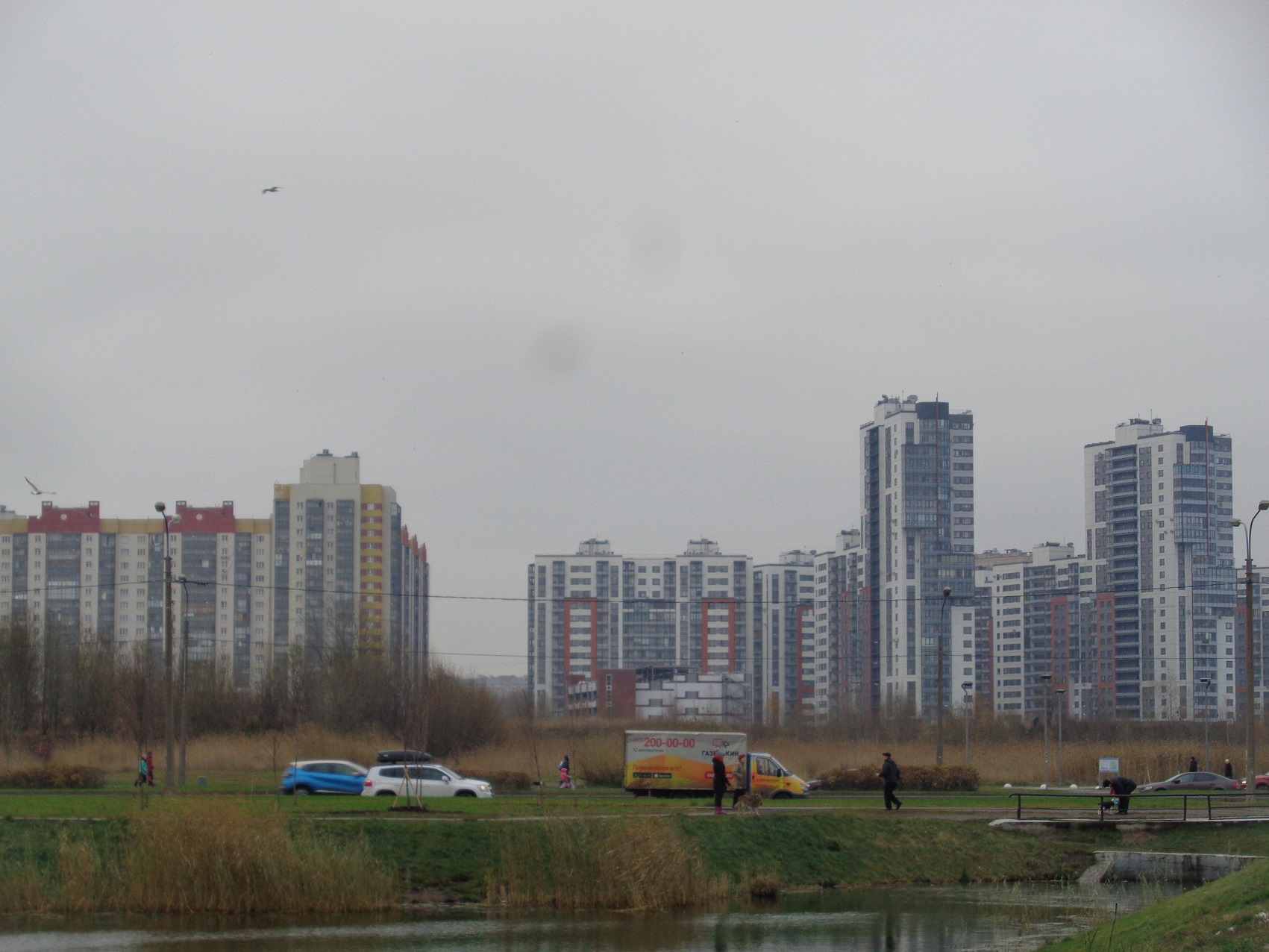 коломяги на карте санкт петербурга