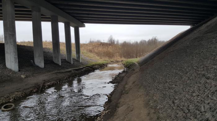 Муринский мост