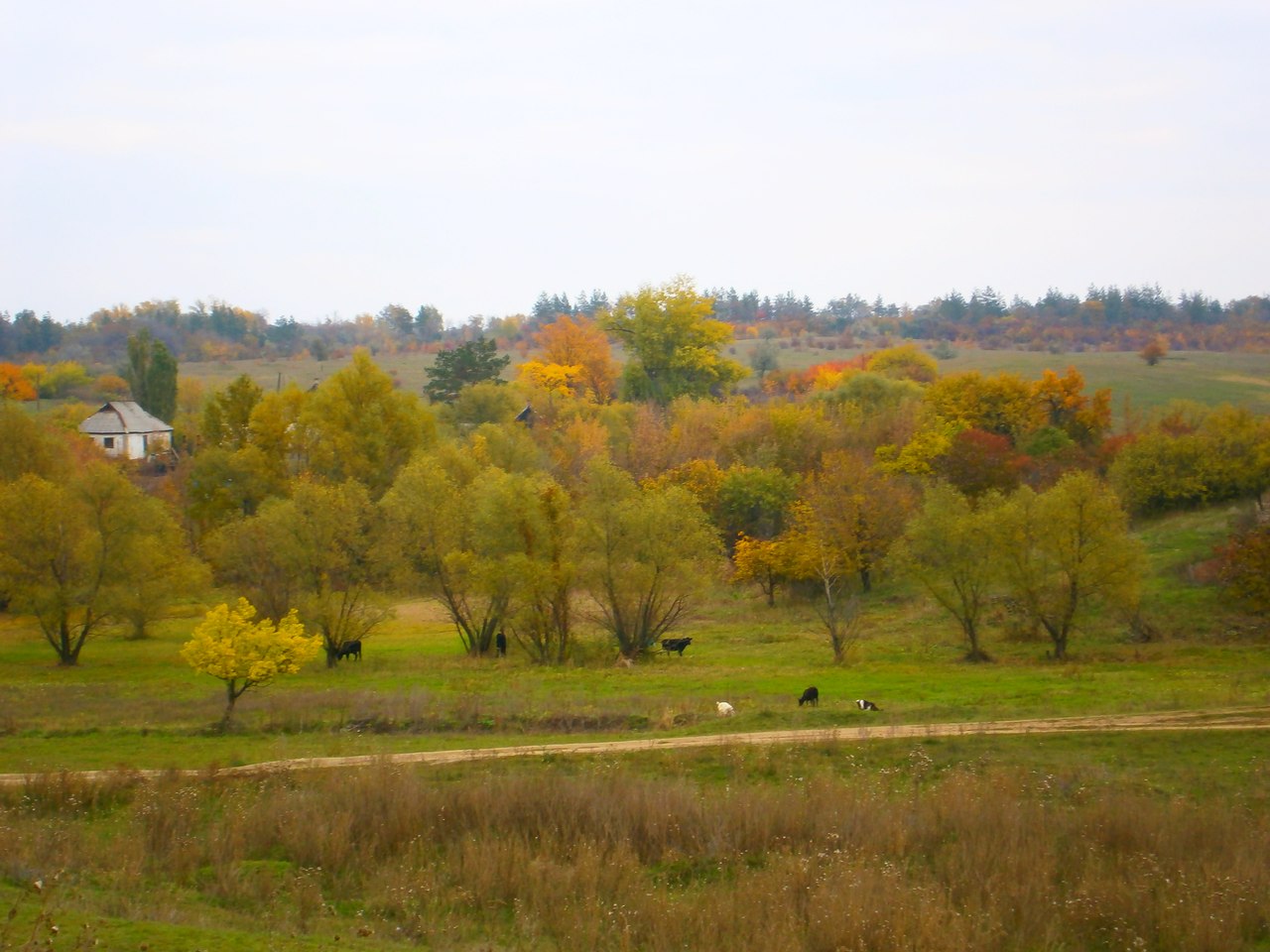 Белгородская область село харьковское. Никитовка Белгородская.