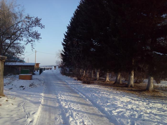 Погода в вельском районе малая липовка. Д Липовка Свердловская область. Липовка Байкаловский район. Деревня Липовка Байкаловский район. Деревня Липовка Мордовская область.