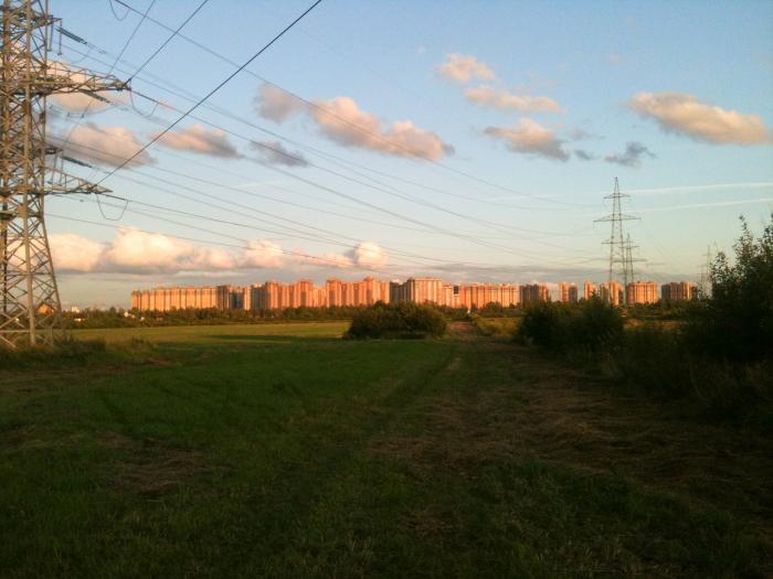 Луга питер. Парголово поля. Луга Петербург. Питер Лужский. Луга 3 Питер.