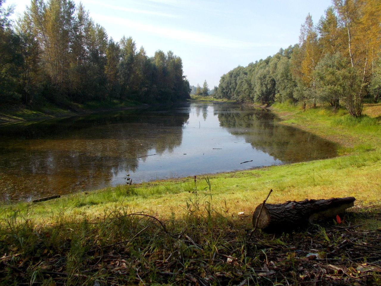 озеро в барнауле