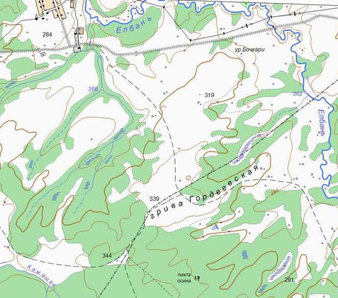 Спутниковая карта бочкари